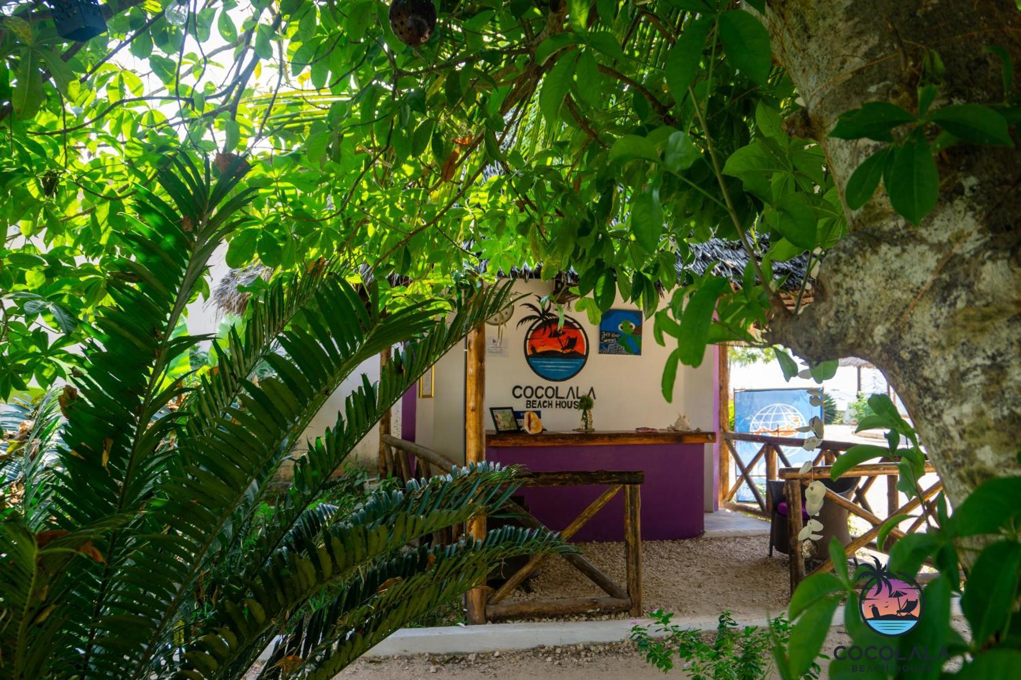 נונגווי Cocolala Beach House מראה חיצוני תמונה